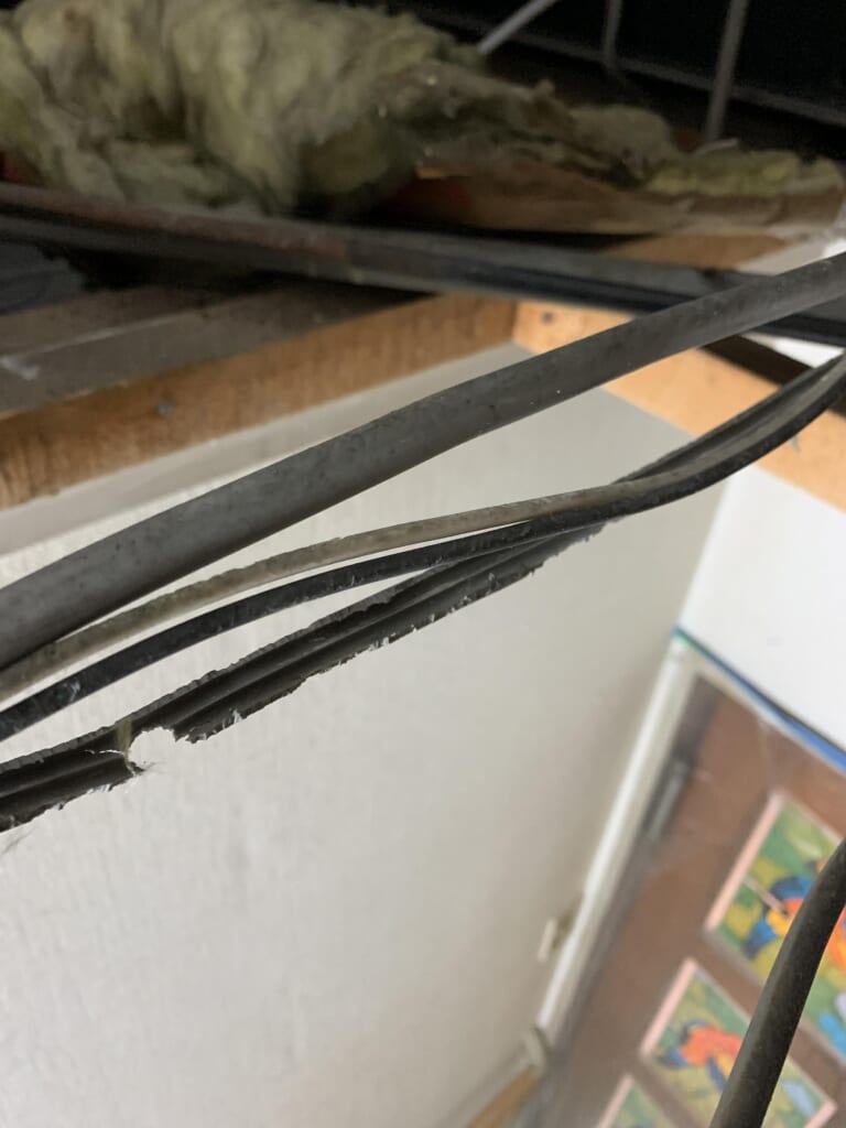 ネズミに注意！！