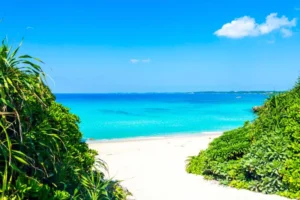 夏季休業のお知らせ